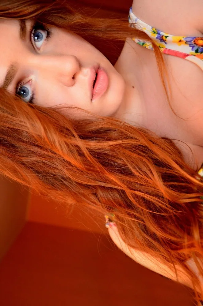 Foto: Bonnett